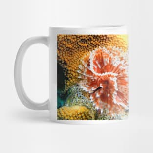 Red and White Feather Duster Coral Worm Mug